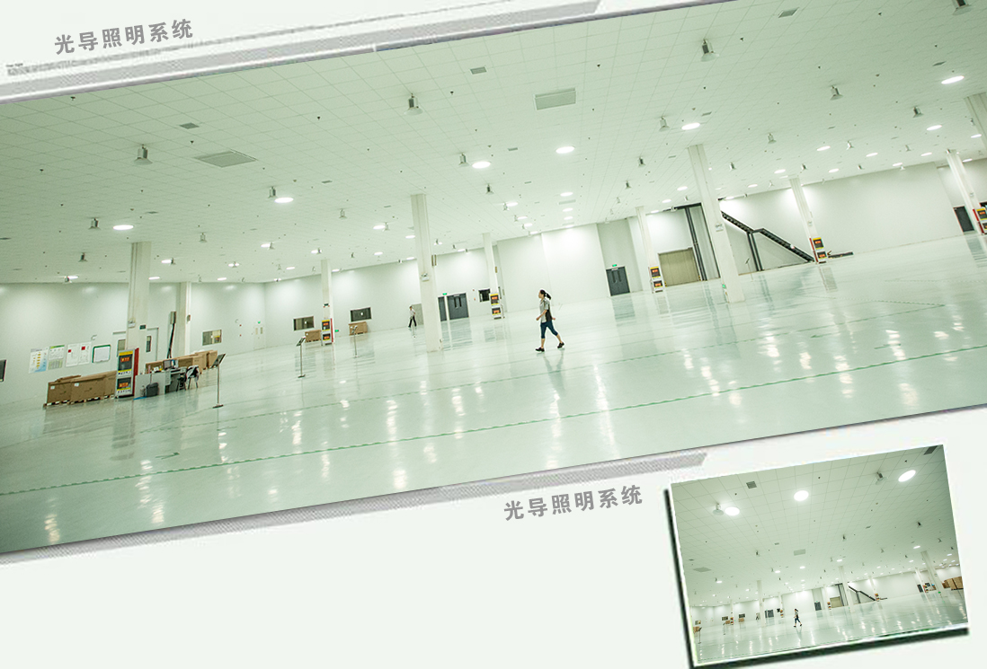 一份來源于自然的禮物——生活需要陽光、需要